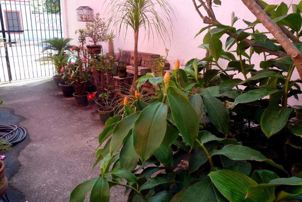 Casa De La Luz - Studio Apartment Tlacotalpan Room photo